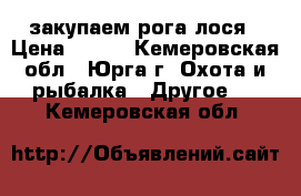 закупаем рога лося › Цена ­ 300 - Кемеровская обл., Юрга г. Охота и рыбалка » Другое   . Кемеровская обл.